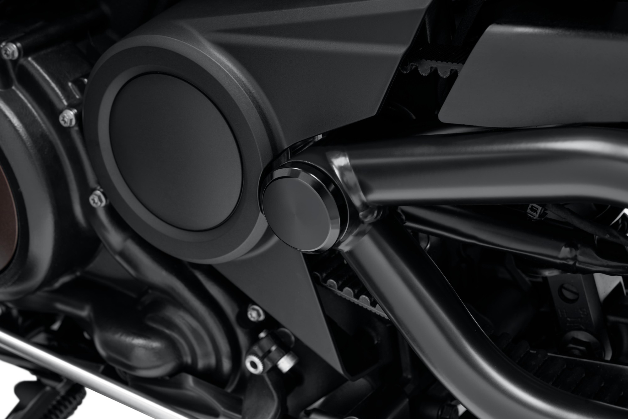 Tapas de Tornillo del Eje del Basculante Harley-Davidson® Negro Brillante – Sportster - Imagen 3